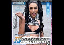 TS Girlfriend Experience 18