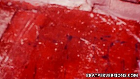 Faberotica Fabiola Blonde – Brat Perversions