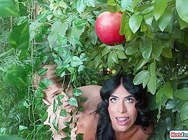 The story of Adam and Eve Trans version